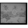 thumbnail image 2 of Historic Framed Print, [City park, West Palm Beach, Fla.], 17-7/8" x 21-7/8", 2 of 9
