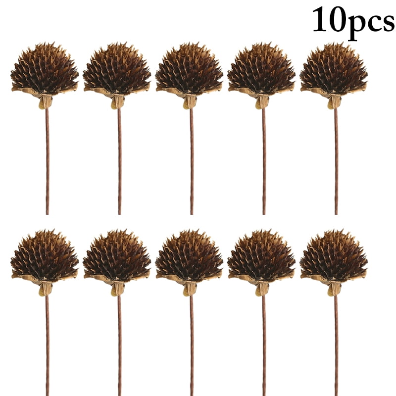 10PCS Dried Plant Stem DIY Lotus Pods Pinecone Dried Flower Stem Home Decoration