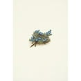 thumbnail image 2 of Mary Vaux Walcott 14x18 Black Ornate Wood Framed Double Matted Museum Art Print Titled - Moss Forget-Me-Not. Eritrichum Elongatum (1925), 2 of 5