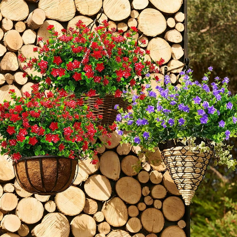 where to buy money tree plant Money Tree Plant with Planter - Small (12