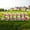 Rainbow Faux Glitter, variant on Alphabet Yard Letter Sign Set – Includes Letters, Numbers, and Special Characters – 84pcs Total – Includes Multiples of Common Characters – Weather-Resistant Corrugated Plastic (Faux Glitter Rainbow)