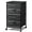 Charcoal Black Wood Grain Print, variant on Wubio 2 Drawer Mobile File Cabinet, Rolling Printer Stand, Fabric Vertical Filing Cabinet fits A4 or Letter Size for Home Office, Rustic Brown Wood Grain Print