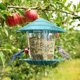 thumbnail image 3 of Comedero Para Pájaros, Estación De Alimentación Para Pájaros Colgante Comedero Para Pájaros Transparente De Gran Capacidad Con Techo Para Pájaros Salvajes Que Cuelgan En El Jardín Y El Balcón Muyoka Hogar, 3 of 6