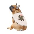 thumbnail image 5 of Raccoon Christmas Lights Matching Family Pajamas, Plus Sizes, With Pockets, 5 of 7