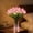 Pink, variant on Radiant Romantic Tulip Light with Vase, 15 PCS LED Tulip Flowers, USB Powered Artificial Tulip Night Light, Adjustable Stem Floral Lamp for Bedroom Bedside Home Decor & Gift
