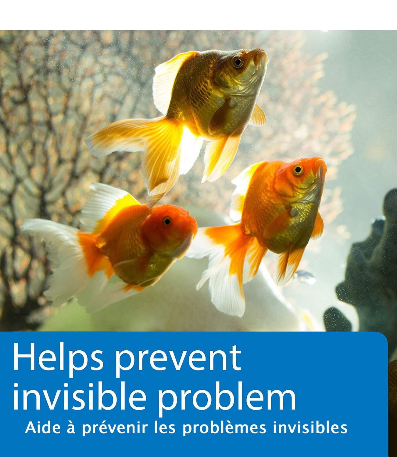 API 5-in-1 Aquatic Test Strips, 100ct