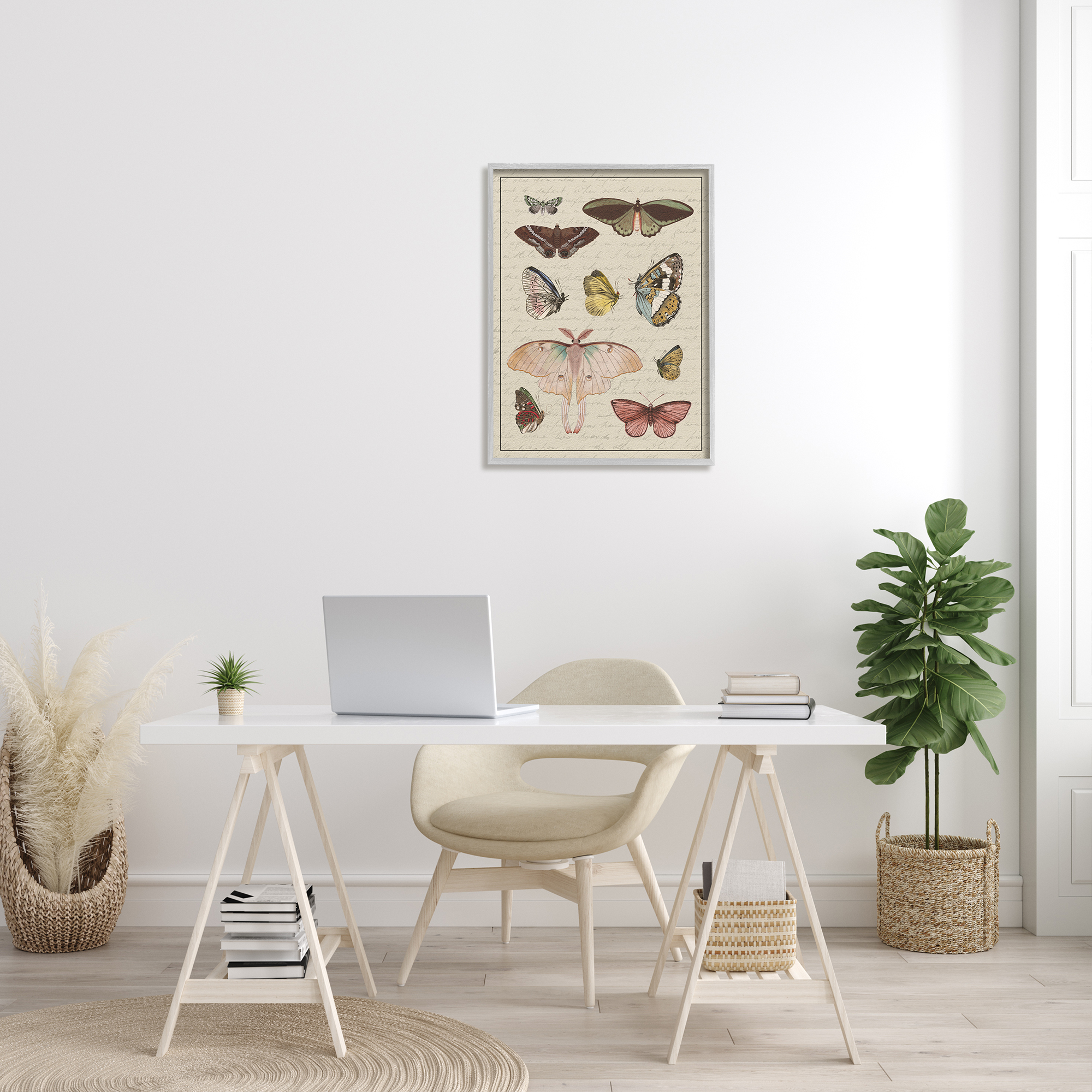Stupell Industries Vintage Moth and Butterfly Wing Study over Script Animals & Insects Painting Gray Framed Art Print Wall Art, 24 x 30