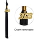 thumbnail image 5 of Toga de graduación para niños en edad preescolar y gorro de graduación con colgante 2023 para niños y niñas, color negro, 5 of 5