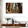 thumbnail image 3 of Elephant Stock Summer In Sequoia Park Wall Art - Horizontal Multi Panel Canvas - Living Room Wall Decor - Floral And Botanical Multi Panel - Brown And Beige Decor - 38" x 24", 3 of 8