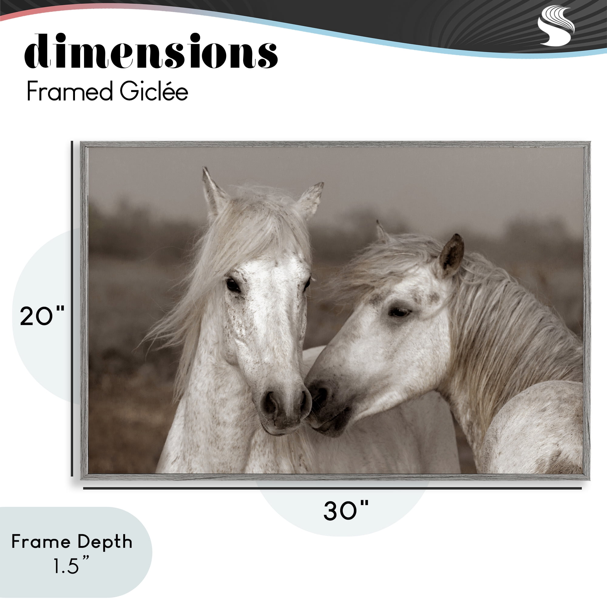 Stupell Industries Gentle Companionship Horses Gray Framed Giclee Art, design by Danita Delimont
