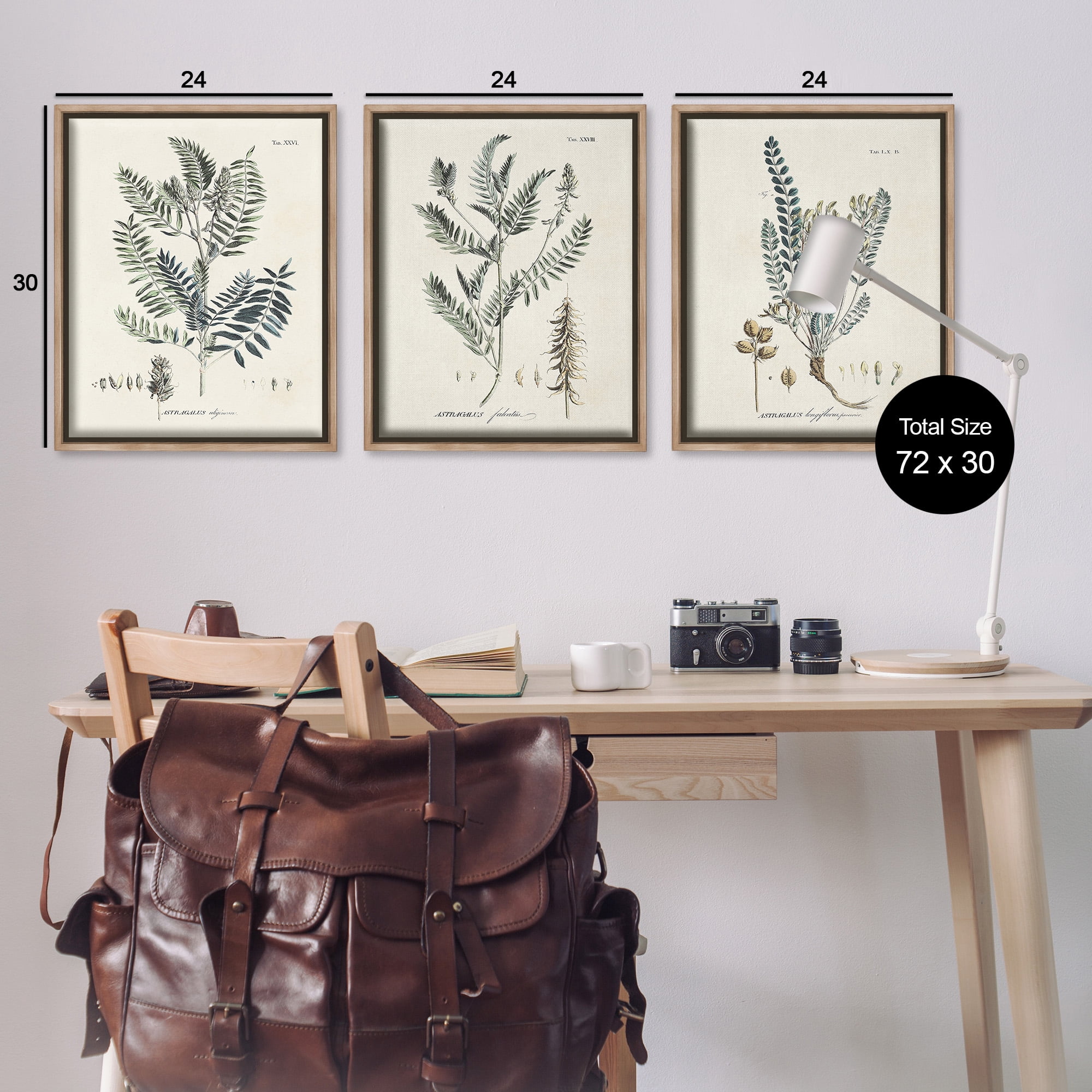 Stupell Industries Woodland Plant Studies Botanical & Floral Painting Brown Floater Framed Canvas Art Print Wall Art, 25 x 31, Set of 3
