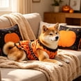 thumbnail image 5 of Aoznliie Dog Clothes, Halloween Pumpkin Lace Dress for Small Cats Dogs, S 3.3-5.5lb Cute Pet Outfit for Halloween Party & Pet Cosplay, Orange, 5 of 7