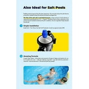 PoolRx Dissolving Algae Eliminating Mineral Unit for Saltwater Pools (4 Pack)