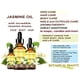 thumbnail image 4 of Loción Fresh BALLS (paquete de 4) | Crema calmante anti-rozaduras para hombres en polvo, desodorante e higiene para el área de la ingle, 3.4 fl oz, 4 of 5