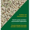 thumbnail image 3 of The Andersons Professional 17-0-3 Fertilizer with Grubout Plus (40lb. Bag - Covers up to 18,100 Sqft.), 3 of 6