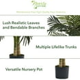 thumbnail image 4 of Nearly Natural 4-ft. Artificial Golden Cane Palm Tree, 4 of 8