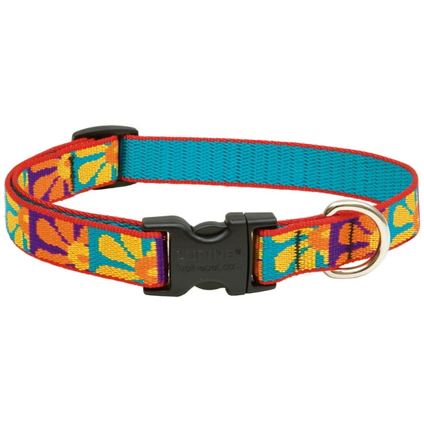 lupine collars leads 31002 34 x 13 to 22 adjustable crazy daisy design