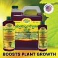 thumbnail image 6 of Microbe Life Hydroponics Photosynthesis Plus, 32oz Quart, 6 of 6