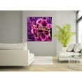 thumbnail image 2 of Purple Rush Photography Canvas Art 24 x 24, 2 of 5