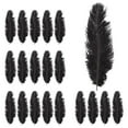 thumbnail image 4 of 20 X Natural Ostrich 25-30 Cm Black Party Decoration, 4 of 5