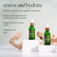 thumbnail image 2 of Set para el cuidado de la piel Tree of Life, iluminador facial, reafirmante e hidratante, 2 of 6