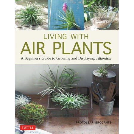 Living with Air Plants : A Beginner's Guide to Growing and Displaying