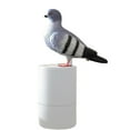 thumbnail image 4 of Pigeon Foam Soap Dispenser, Bird Poop Soap Dispenser, Unique Automatic Induction Foam Hand Washer, Funny Automatic Soap Dispenser, Bird Soap Dispenser for Kitchen Bathroom (Color_B), 4 of 6