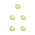 thumbnail image 3 of Caja de ahorro de dinero Naiovety PS Reutilizable Tapón extraíble Forma de animal transparente Verde S, 3 of 4