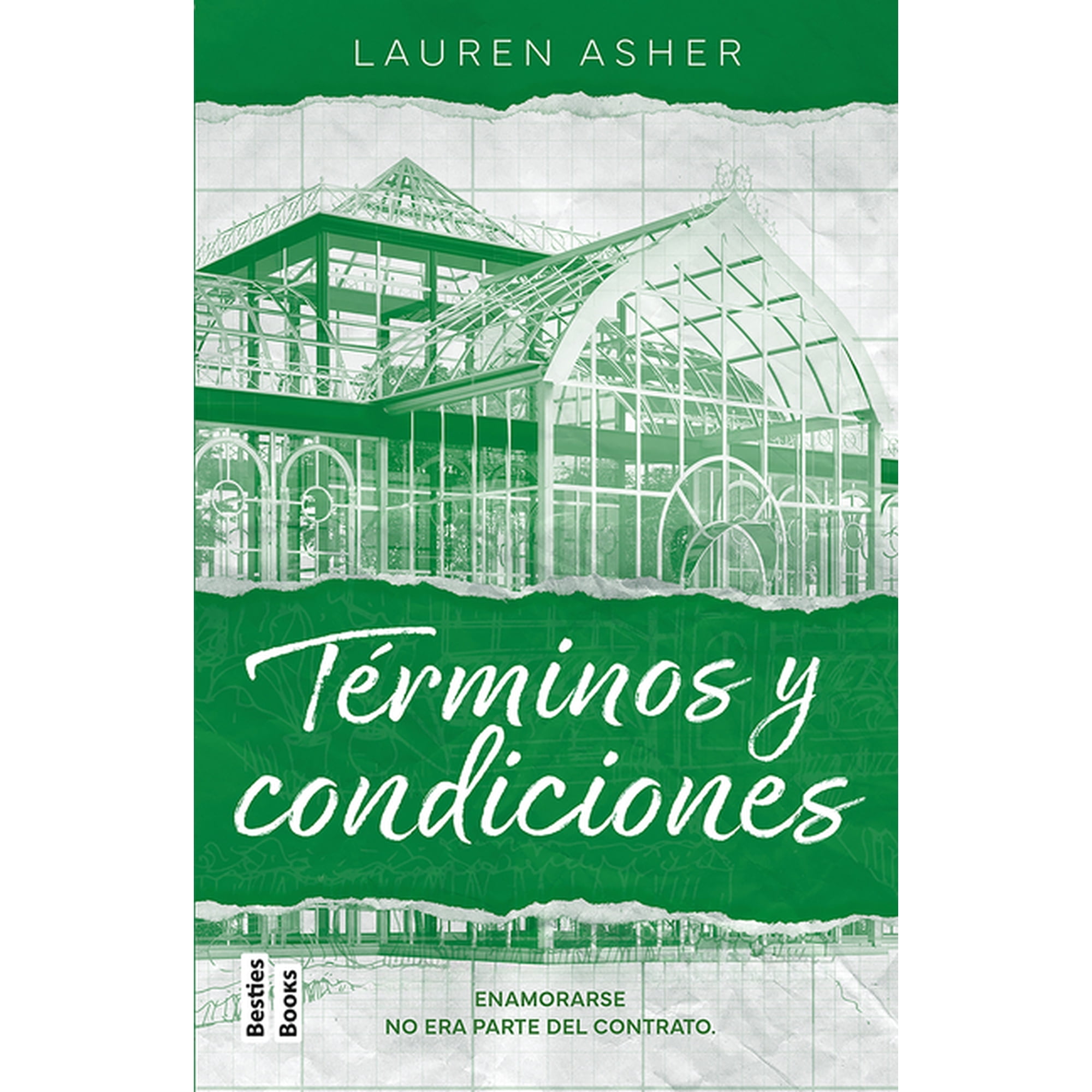 Billonarios / Dreamland Billionaires TÃ©rminos Y Condiciones / Terms and Conditions (Light Novel), Book 2, (Paperback)