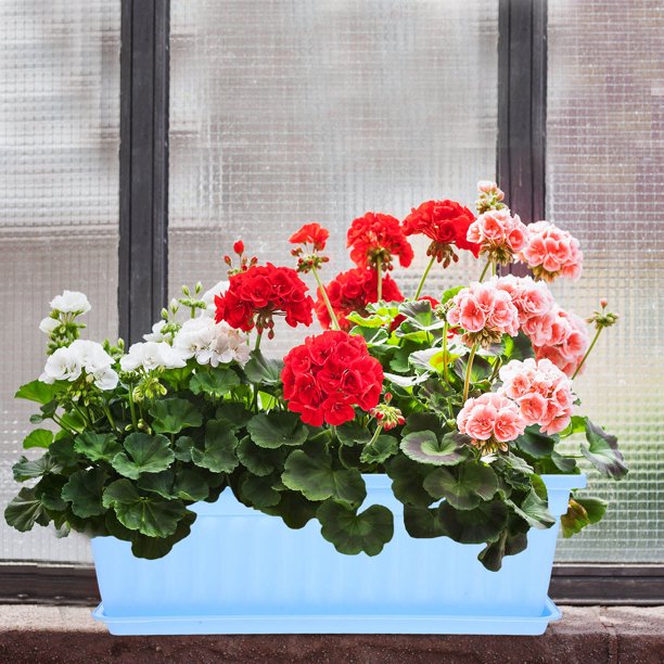 unbranded 2Ud Macetas De Resina Para Con Ideales Para Plantas De Interior Y Suculentas