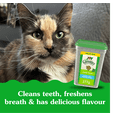 thumbnail image 4 of Gâteries dentaires naturelles pour chats adultes FELINE GREENIES saveur d’herbe à chat, 4 of 14