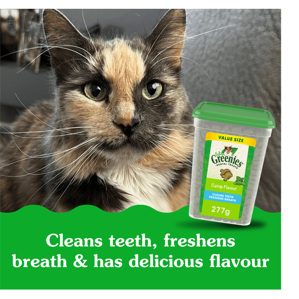 FELINE GREENIES Cat Treats Adult Natural Dental Care Catnip
