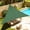 Dark Green, variant on NAWAY 20'x20' Curved Triangle Permeable Sun Shade Sail for Patio, Garden & Deck, Sand