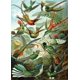 thumbnail image 1 of Rompecabezas de artefactos - Rompecabezas de madera de colibríes Haeckel Artifact Puzzles LYSB0029LAME2-TOYS, 1 of 1