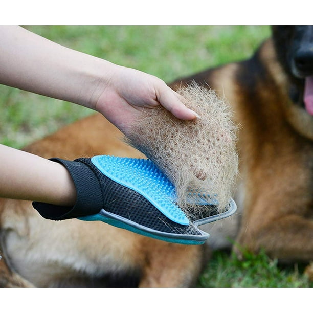 Horse grooming gloves cheap
