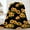 Sunflower, variant on Sunflower Blanket 50" X 60", Black Sunflower Decor Throw Blankets, Sunflower Gifts for Women Decor Fuzzy Soft Blanket for Couch Bed Living Room