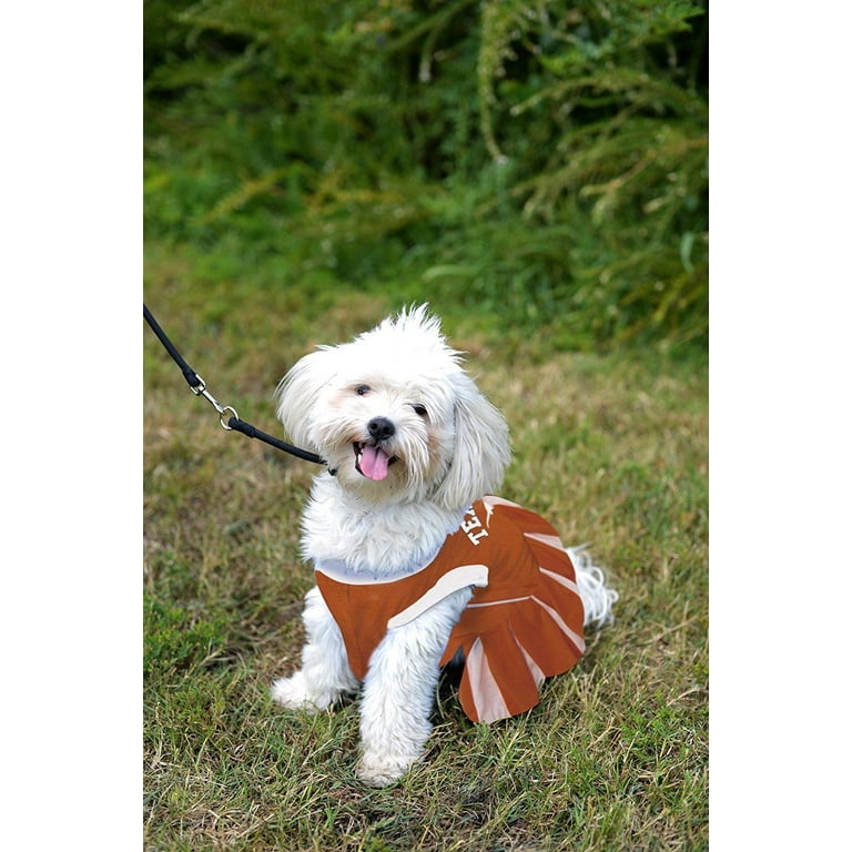 Dog Indian Costume