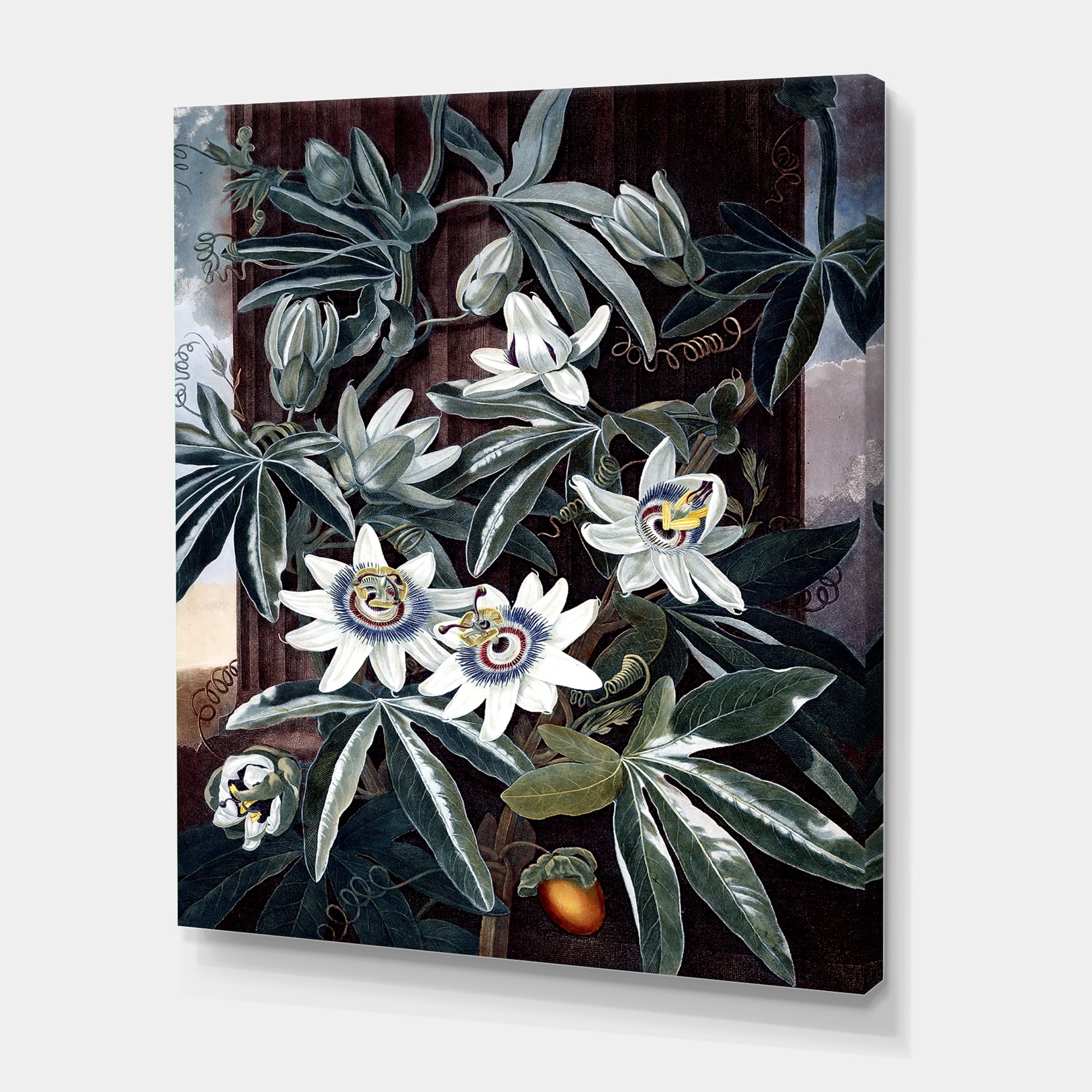 Designart ' Ancient Flowers I ' Traditional Canvas Wall Art Print