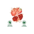 thumbnail image 5 of Fresa deshidratada Mister Alimentos enchilada Chimalaya 250 g, 5 of 5