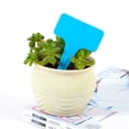 thumbnail image 4 of 20PCS T Shape Garden Labels Thickening Garden Plant Tag Plant Classification Sorting Sign Tag Light Blue, 4 of 5