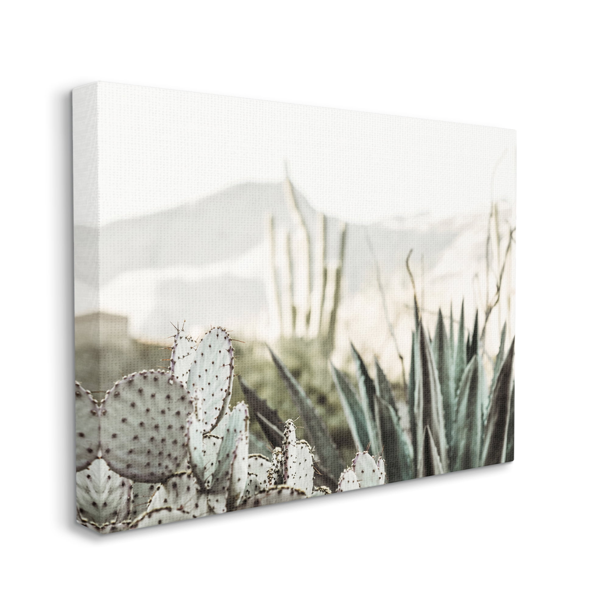 Stupell Industries Desert Cacti Photography Landscape Photography Gallery Wrapped Canvas Art Print Wall Art, 48 x 36