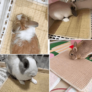 FIAQUA 2PCS Rabbit Scratch Mat, 16x12in Natural Bunny Scratching Pad, Claw & Teeth Care for Bunnies, Multi-Use Mat for Rabbit Cages - Chew Toy, Bedding, Sleeping & Nesting