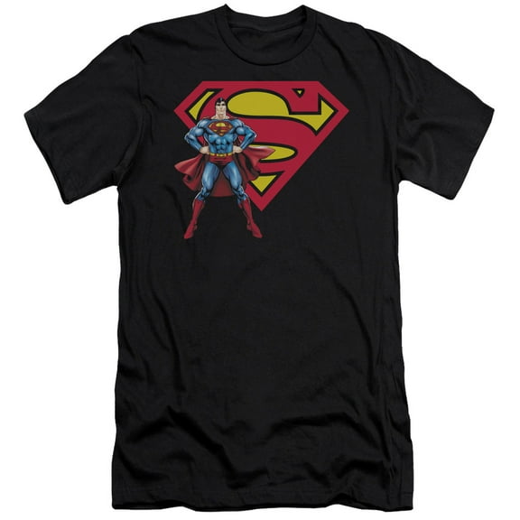 Superman Superman & Logo Adult 30/1 T-Shirt Black