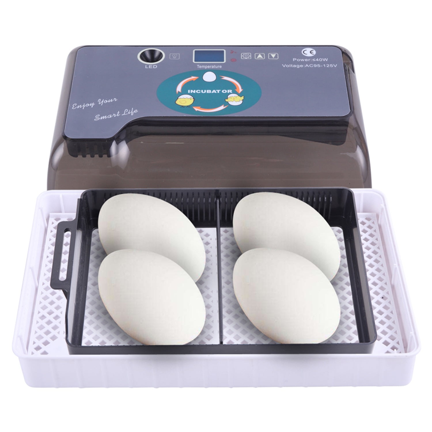 Pefilos12-Egg Adjustable Incubator for Chicken Egg Tray Practical Fully Automatic Poultry Incubator for Reptile Eggs Thermometer Set US Plug, Gray Pefilos12-Egg Adjustable Incubator for Chicken Egg Tray Practical Fully Automatic Poultry Incubator for Reptile Eggs Thermometer Set US Plug, Gray