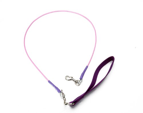 virchewly indestructible leash for dogs