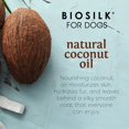 thumbnail image 4 of Champú para perros BioSilk Silk Therapy con aceite de coco orgánico, 4 of 8