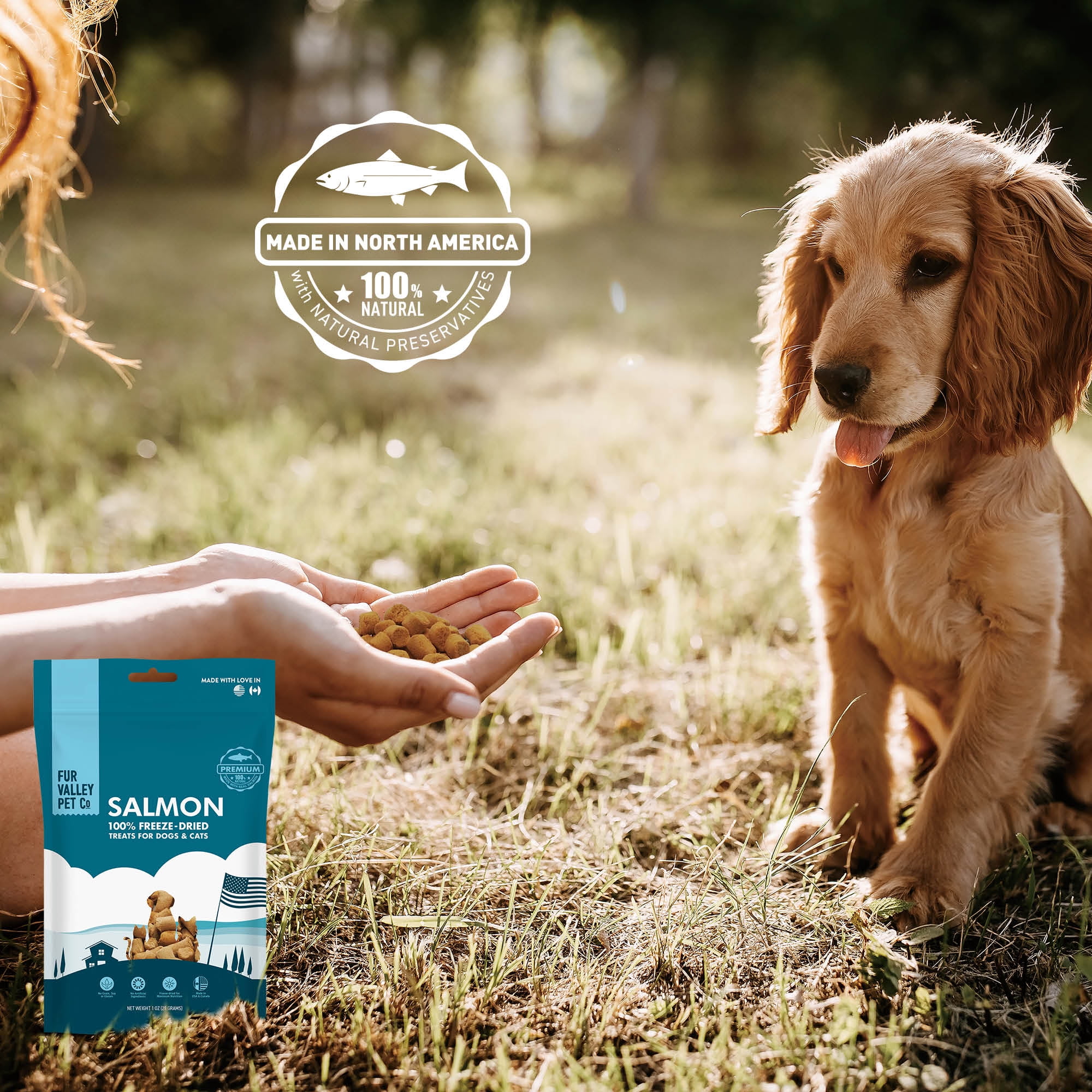 (3 pack) Fur Valley Pet Co. Freeze Dried Raw Salmon Treats & Topper for Dogs and Cats - 1 oz.
