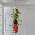 thumbnail image 4 of OUSITAID Parrot Bird Colorful Hanging Molar Toy Natural Rattan Ball Corn Husk Chewing Toys for Relieve Boredom, 4 of 6