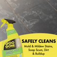 thumbnail image 3 of Limpiador de lechada y azulejos Goo Gone, 800 ml, elimina las manchas difíciles, 3 of 8
