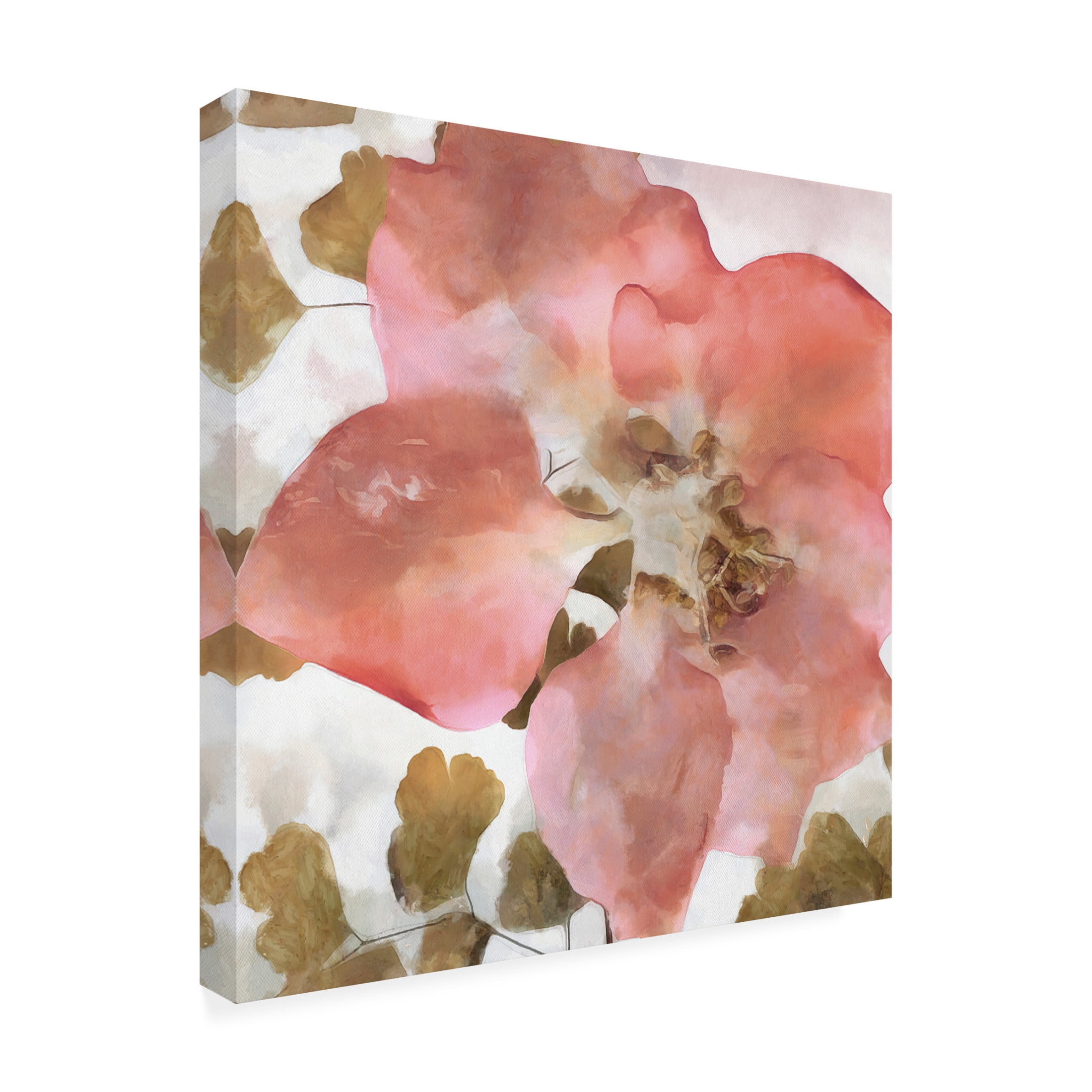 Canvas Wall Art - Alonzo Saunders 'Delicateness II' Wall Art for Living Room, Bedroom, or Office Décor by Trademark Fine Art - 35 x 35 Inches